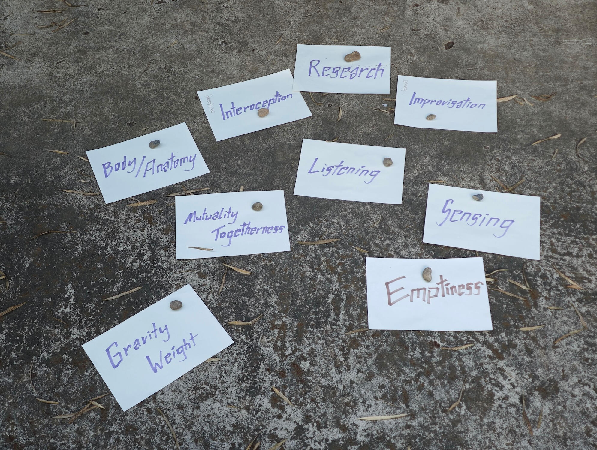 Selbstbestimmtes Lernen